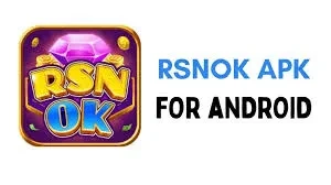 rsnok — logo banner resmi Indonesia